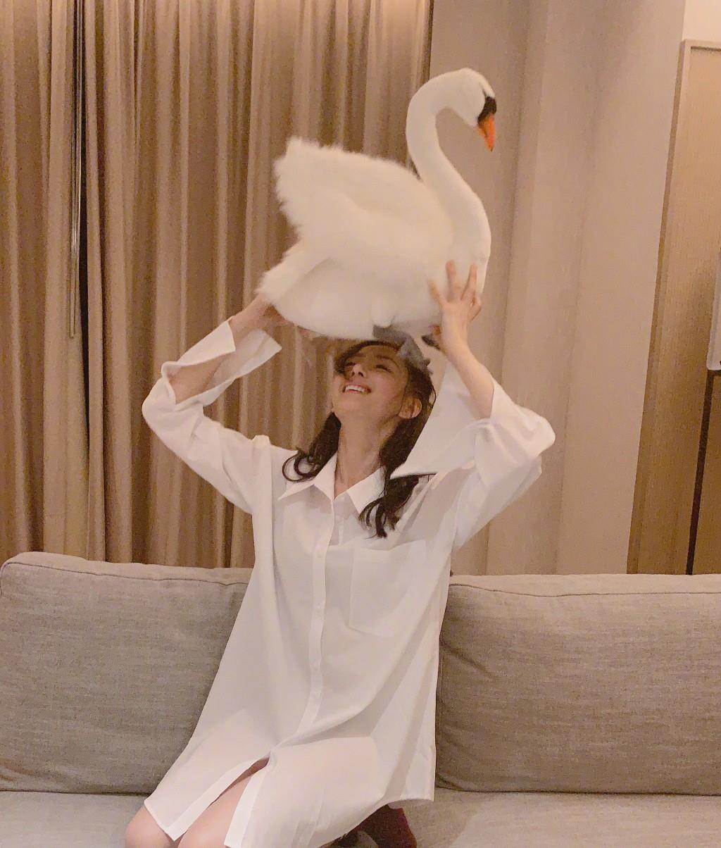 『张天爱』还是张天爱会玩，穿男友风衬衫玩下衣失踪，手抱“天鹅”更动人了