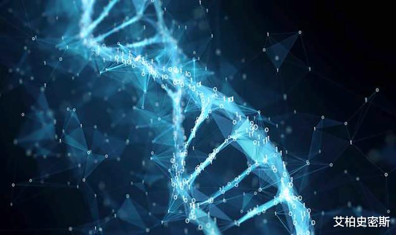 水母▲近亲繁殖有什么优缺点？有哪些近亲繁殖的例子？