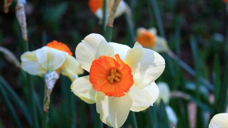 生肖|8月财库大开，事业顺风，顺遂如意的四大生肖