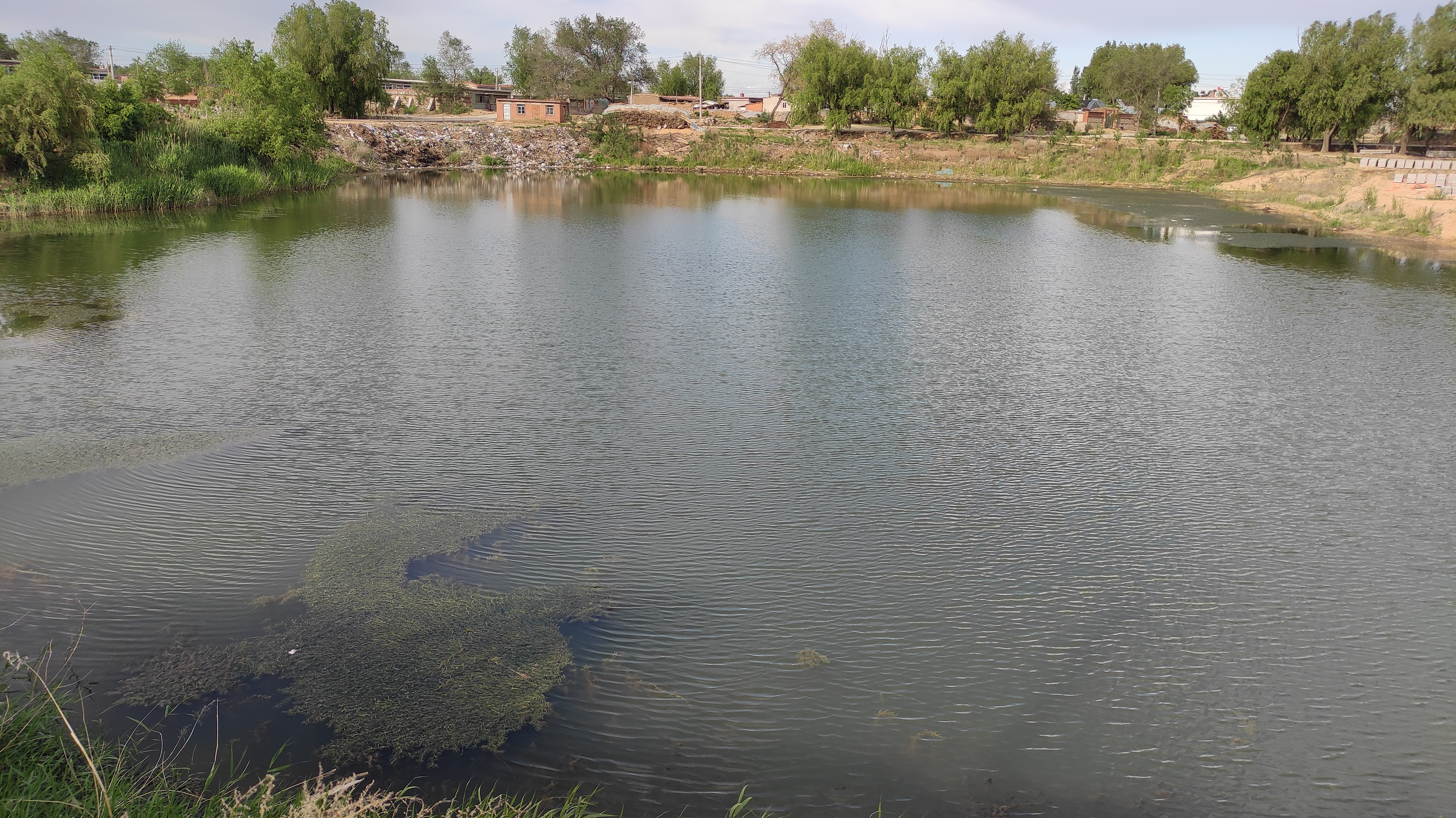 水库@用这三招，巧钓沙坑巨物，用渔获说话