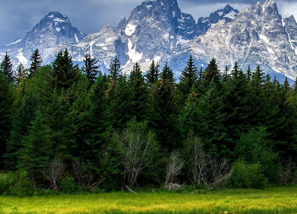 运势|到了7月底,4属相运势节节高,否极泰来,成功逆袭,日子美如画