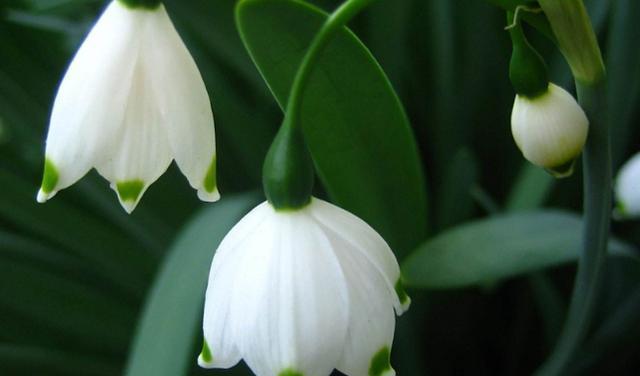 摩羯男▲6月份，勇敢出击寻找爱情，愿意参加相亲，努力生活的星座