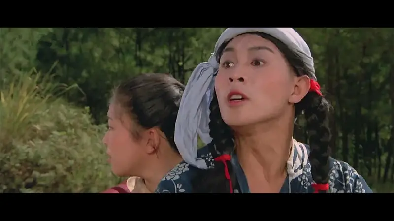 『李连杰』《少林寺》原班人马打造的续集，李连杰和前妻联袂主演，打败了洪金宝成龙