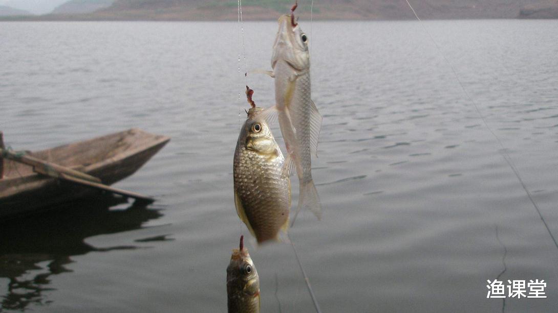 「」夏天钓鱼，浮漂调灵好还是调钝吗？3句话总结到位，少走5年弯路