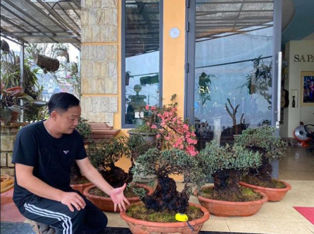 【外卖小哥】男子花3年时间从悬崖上采回5棵植物,如今有人出6万他不舍得卖