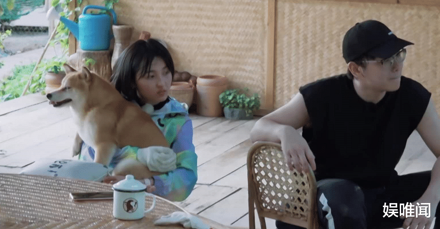 #张婧仪#从张婧仪到宋威龙，在《向往的生活》里，不爱说话为何更圈粉？