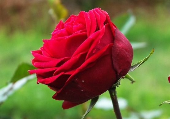 属鼠|8月17号开始，4属相鸿运八方来，财运丰厚，生活幸福美满