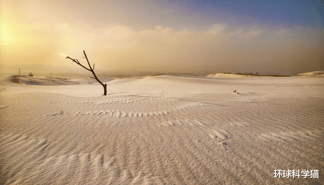 科学家|人类技术这么发达，为何征服不了38条沙漠鱼？可能只能任其灭绝