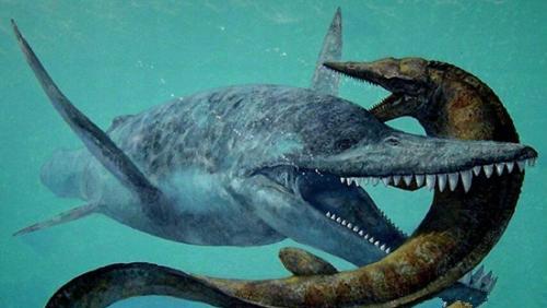 生物考古|远古时期五大“神物”，倘若它们生存下来，人类的掌控权将转让