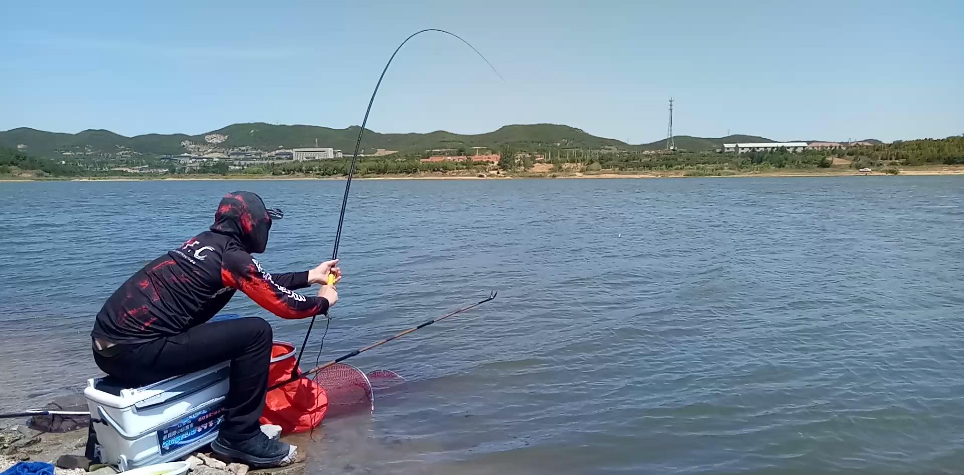 鲤鱼|钓大鱼，在这3个方面都耍点“流氓”，成功率要大得多