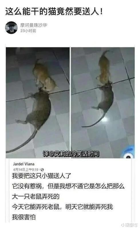 |“今天偶遇马化腾,让他给我充500Q币,这要求不高吧?”哈哈哈