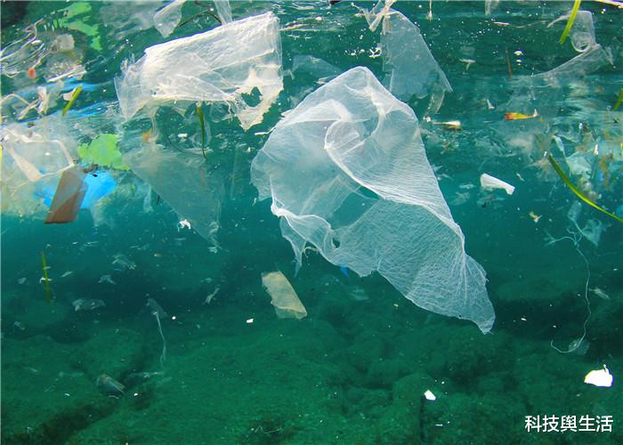 『海洋生物』地球又有情况了，400万吨“巨兽”正悄悄靠近中国，是好是坏？