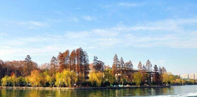 旅行|枫叶红了！武汉4个最佳红叶观赏地，你去过哪几个？