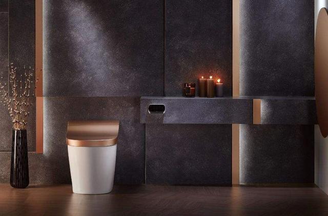 ▲家里装智能马桶,用5点经验去选购,再精明的商家都坑不了你