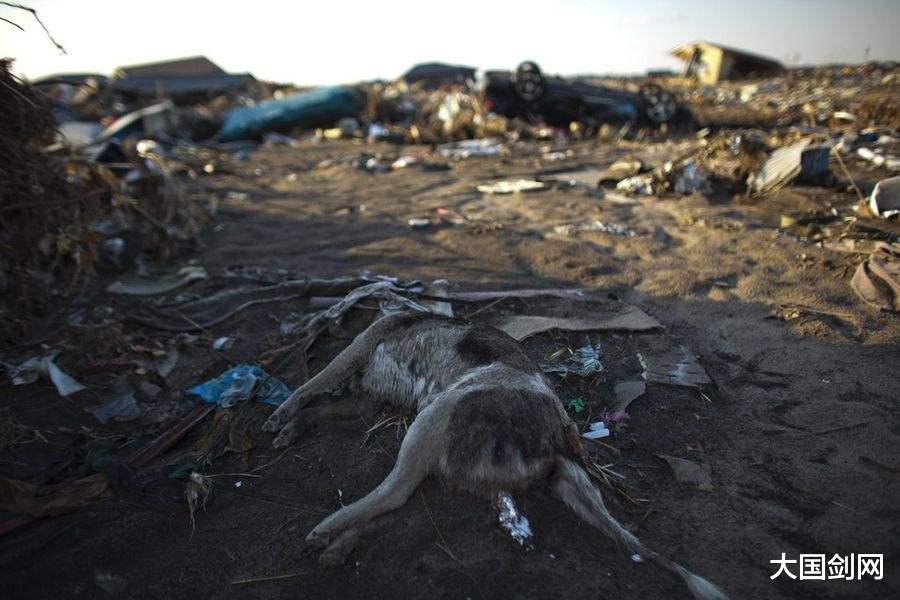 日本|41条裂缝已经出现，安倍还想继续隐瞒，或将危及到全世界