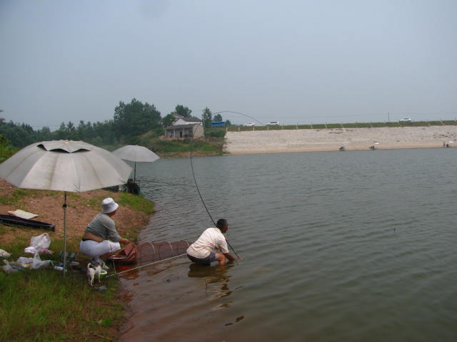 饵料|关于饵料，现在的钓鱼人把鱼看得比皇上还难伺候，事实真是这样吗