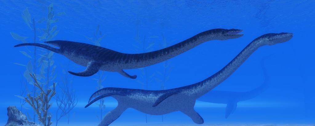 #长白山天池#长白山天池水怪频频出现,它到底是什么生物?科考队揭晓真相