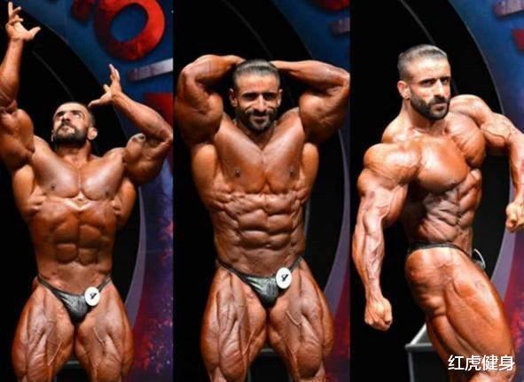 哈迪|亚洲巨兽“波斯狼”哈迪，坦克背的训练方法