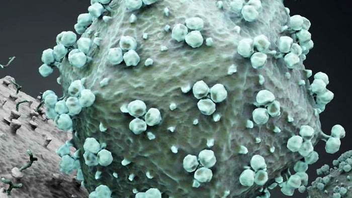 「」它们肆虐全球，能致残、致命，全球受感染人口超12亿，是人类生存的大敌之一