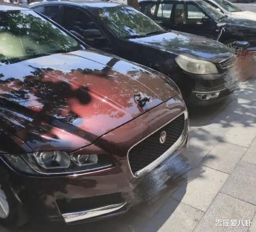 中国火星探测器|“有哪些长期被当成灵异事件，最终被科学解释的事件？”以为是吸血鬼，结果...