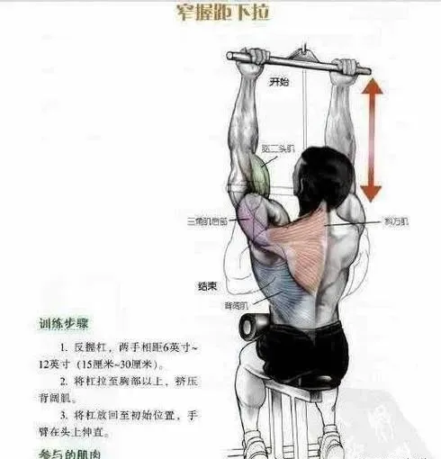 「」打破传统的背部训练套路，6个分区，3种动作模式，打造完美背部！