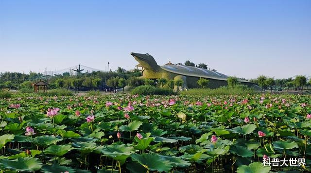 河北|都说“河北无大湖”，其实古代曾有“天下九泽”之首，50年前还在