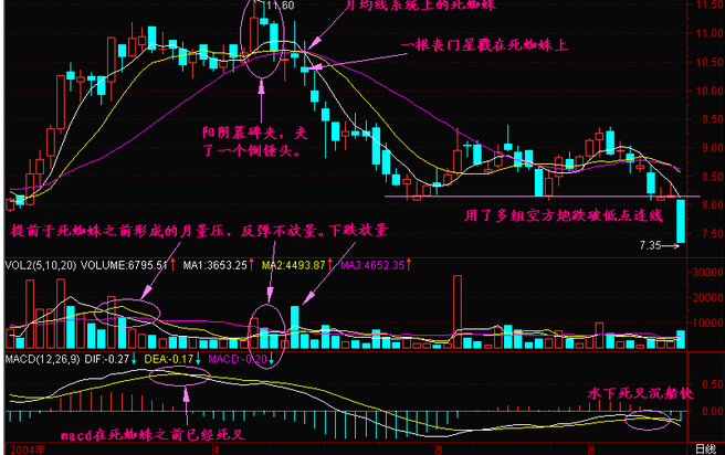 蜘蛛|一旦出现“死蜘蛛”意味着什么?散户要小心,这是收割韭菜的节奏