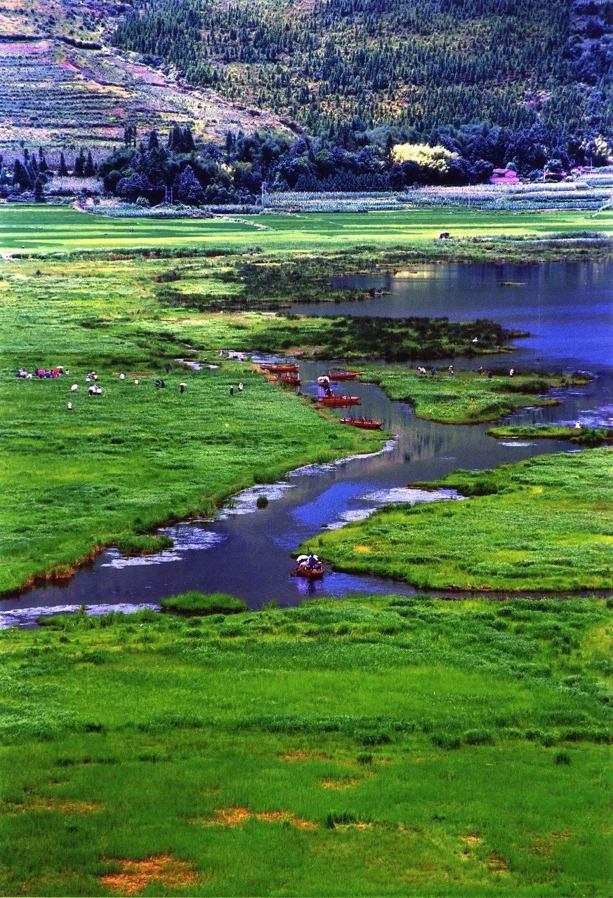 古镇 正适合小住7天的绝美小城小镇，不费钱不需攻略，和当地人一起享受慢生活！