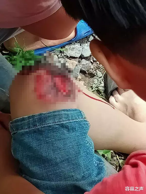 容县之声|闯祸了！广西3名鬼火少年翻车，想想都后怕