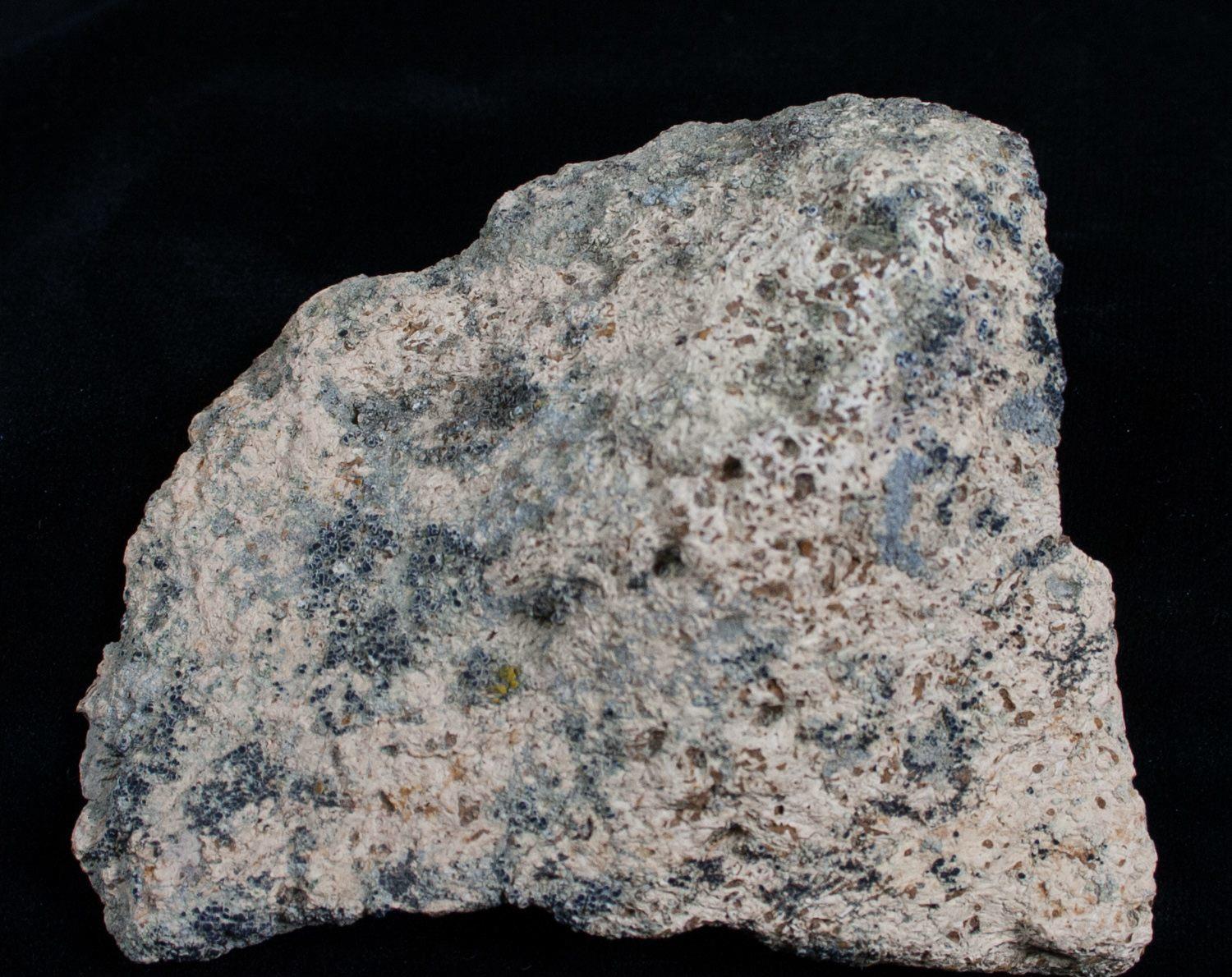 恐龙▲科学家发现一只装甲恐龙在最后一餐中吃了什么