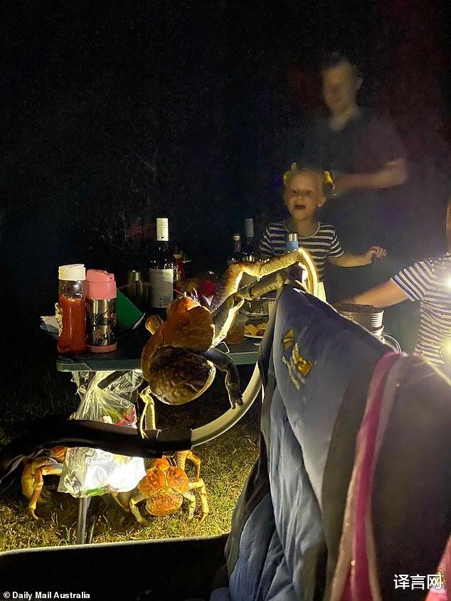 烧烤|澳洲人家烧烤，52只巨蟹闻香而来将他们包围，网友：不烤蟹吃？