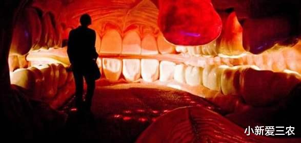 「心跳」世界最大人体博物馆 ，内部构造太真实，让很多女性脸红心跳！