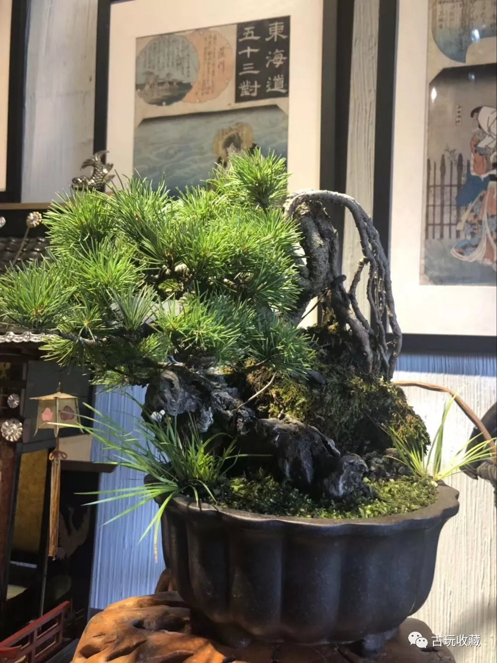 钧瓷■真正的收藏高手，可以捡漏！