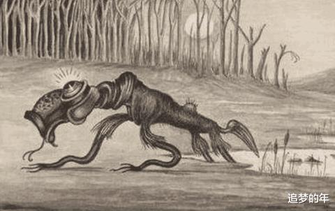 「食人树」世上四大神秘生物, 第四种, 人类还是别看见的好!