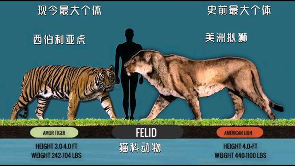 @古今各动物科最大生物对比