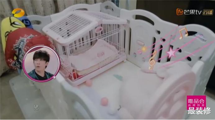 |不想生孩子,却喜欢养猪的宋茜,豪宅装修奢华,连猪都睡婴儿床