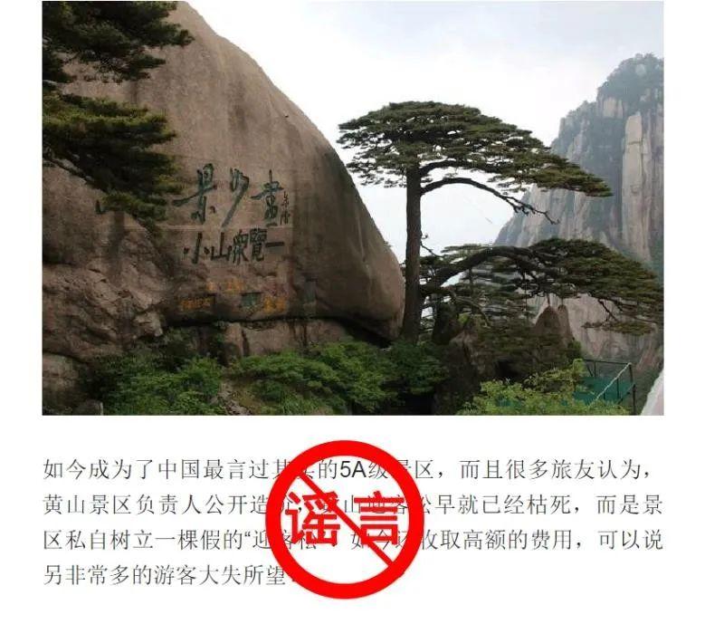 沈阳晚报|黄山迎客松是塑料的？官方回应了