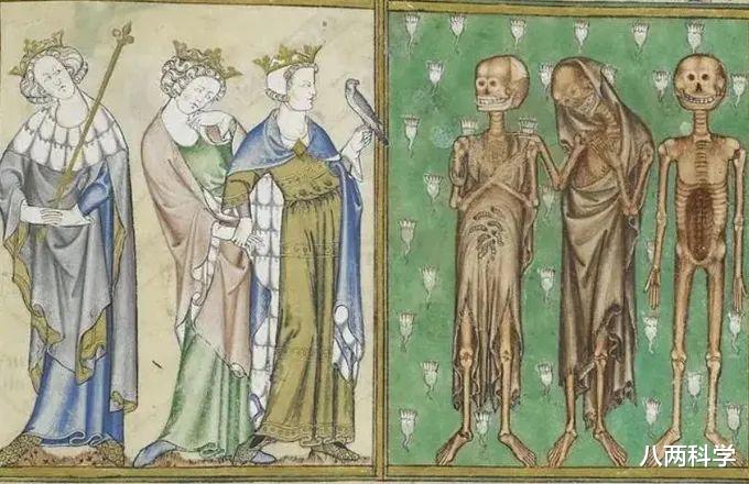 黑猩猩|动物会感染人类病毒吗?黑猩猩感染麻风病,满脸疙瘩,科学家无法治疗!