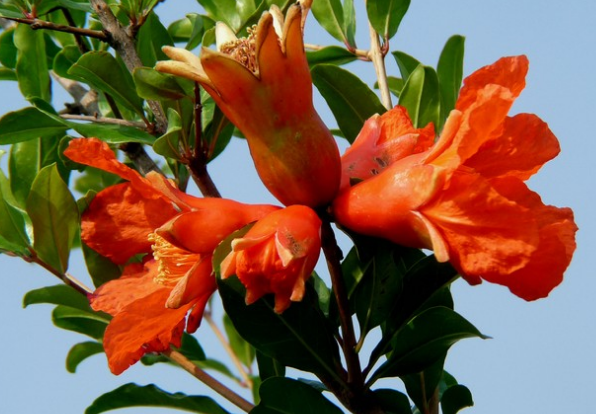 @6月财运逆袭,4属相财运事业红火,未来钱途无量,好事多多