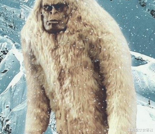 喜马拉雅山■揭开神秘大脚怪之谜,15000年前人猿杂交而成的野怪
