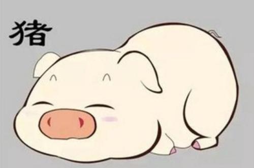 「生肖」适合做老婆的几大生肖女，如果你老婆是，就偷着乐吧！