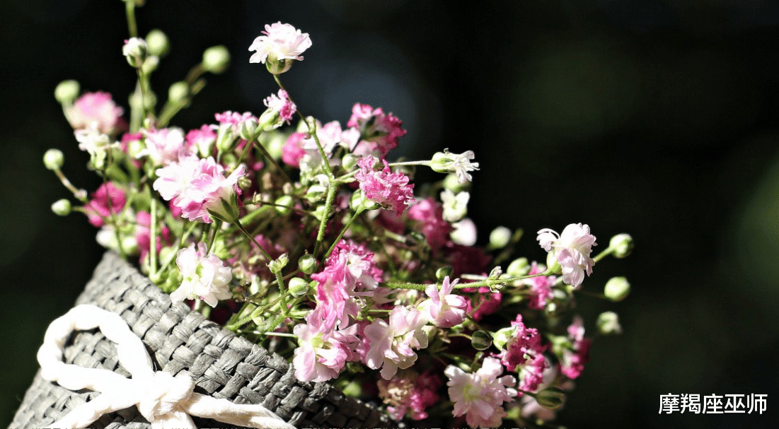 生肖|11月，桃花逆袭，月老牵线，再次复合初恋，双方之间，破镜重圆