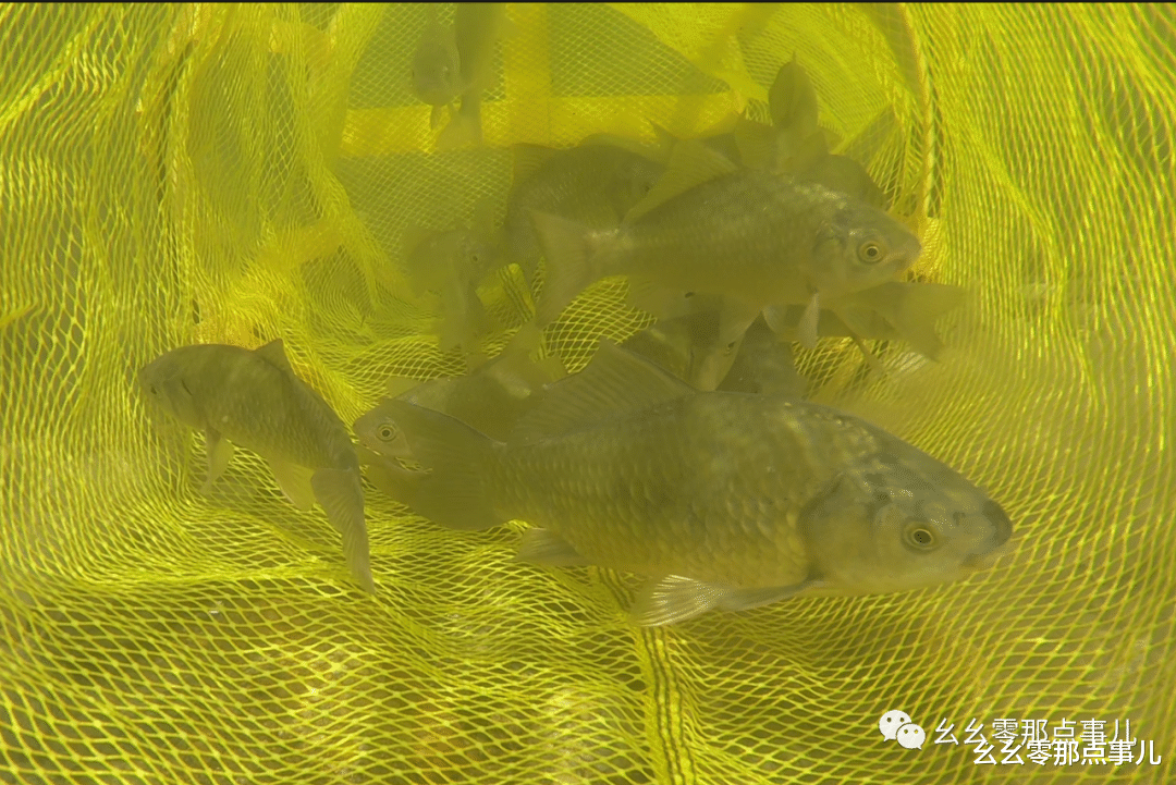 北京市@山中天气一天三变！在北京深山躲避疫情钓鱼休闲，想过瘾有技巧！