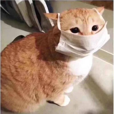 芒果帮女郎 注意!这样戴口罩会增加传染风险!