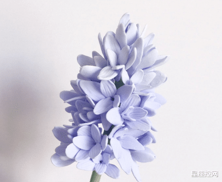 |哪些日子出生的人,德高望重,说话有份量,职场权威,做啥都顺