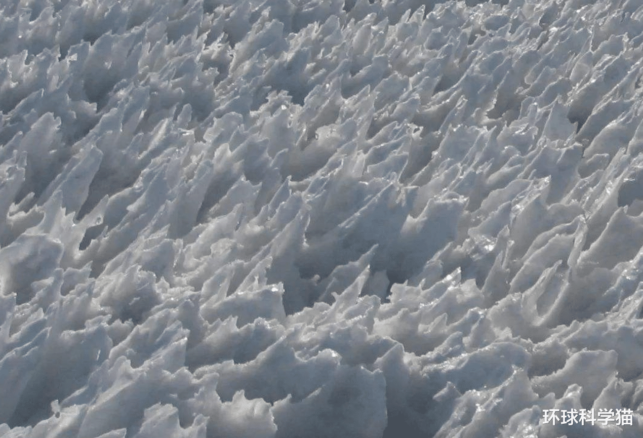 地外生命|好消息!第1个地外生命或很快找到,太阳系内已发现“蛛丝马迹”