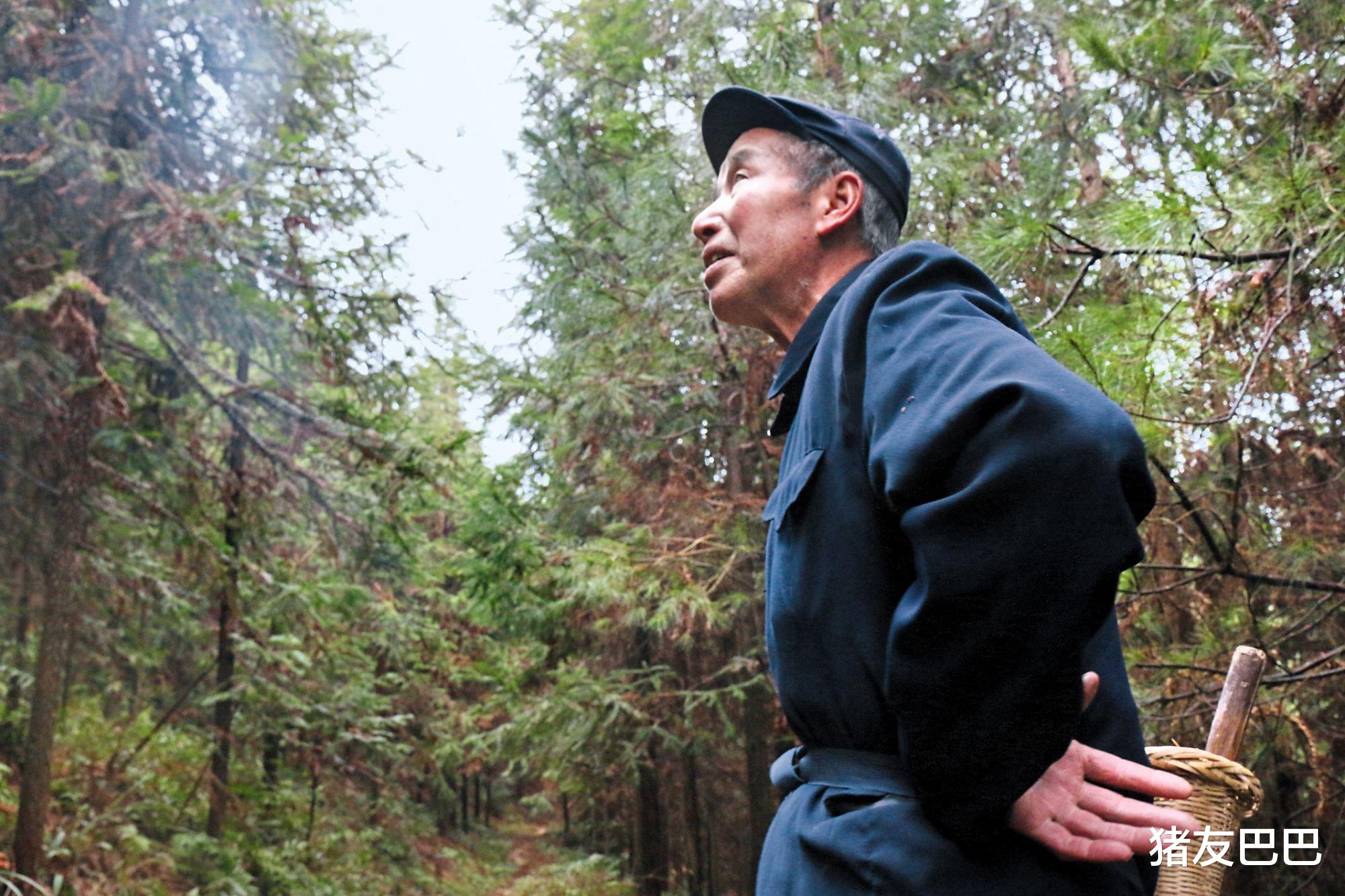 #宅基地#农村人口少了，国家仍大力发展新农村，为啥？未来农村会成啥样？