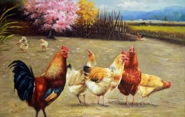 「运势」生肖鸡：4月份有躲不过的“苦难”, 早看早预防！