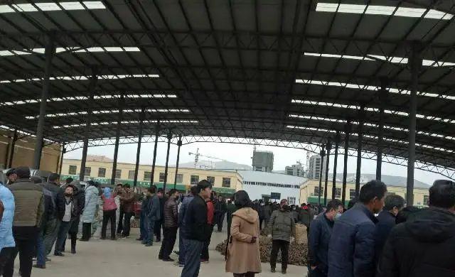 【中药材】「快讯」会川中药材市场行情一览