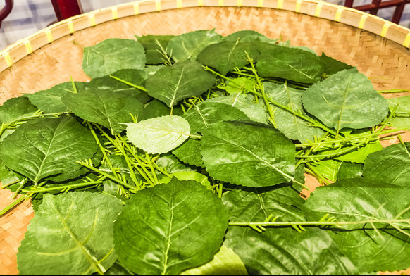 戒烟|它是痛风的“超强天敌”,长期吃下去,尿酸就会下降!